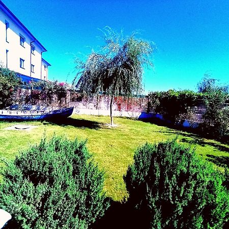 Hotel Pensiunea Prigoria Murighiol Exterior foto